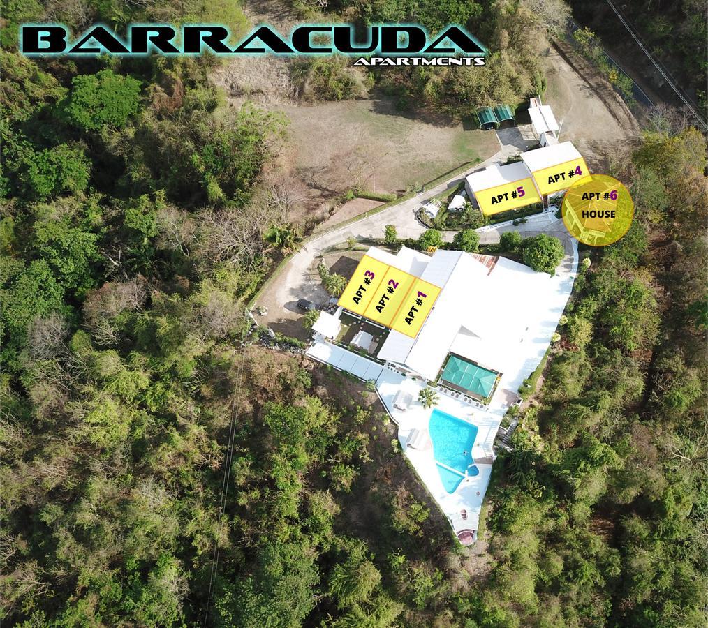 Barracuda Apartments Sámara Exteriér fotografie